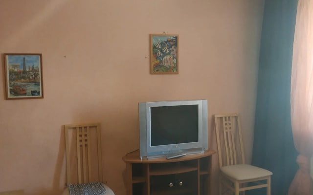 Квартира Большая однушка на пр. Ленина
