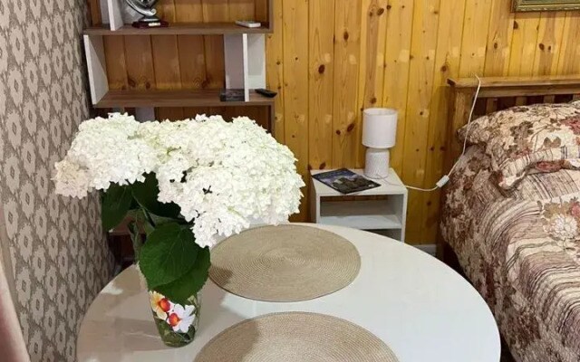 Меблированные комнаты на Дмитрия Донского 2А
