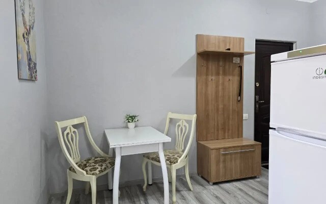 Апартаменты в центре Пятигорска 4