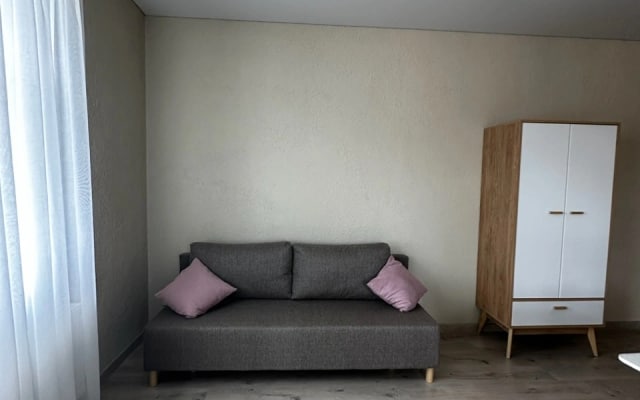 Апартаменты Homely Suite