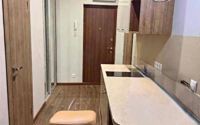 Апартаменты в Самом центре Сочи