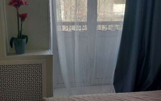 Квартира двухкомнатная в центре