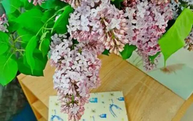 Апартаменты на Аллее рядом с Физтехом и Шереметьево