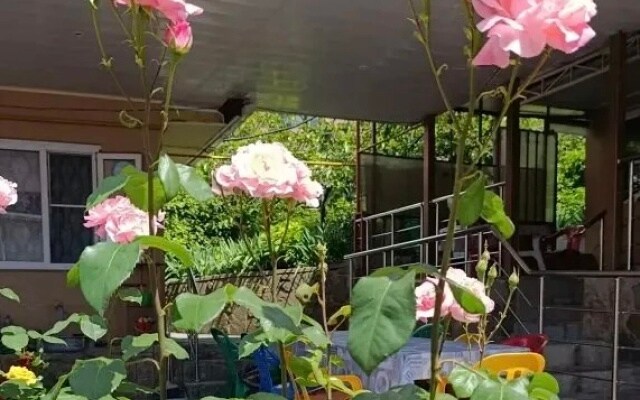 Меблированные комнаты Южная дача