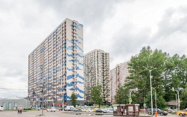 Апартаменты Art Life Apartment Belye Rosy