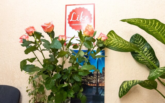 Хостел Like Hostel