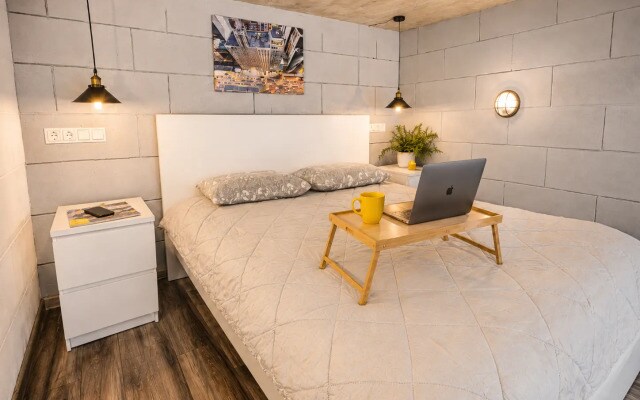 Апартаменты Duplex Loft 2