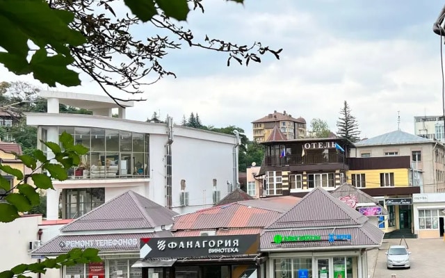 Отель Викинг