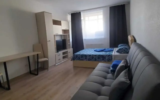 Апартаменты у Аэропорта Dream House