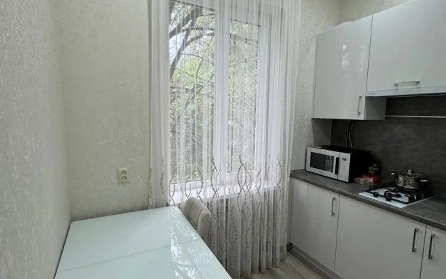 Квартира Уютная в центре Кисловодска