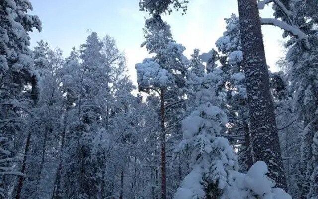 Частный Дом на Дачной 23