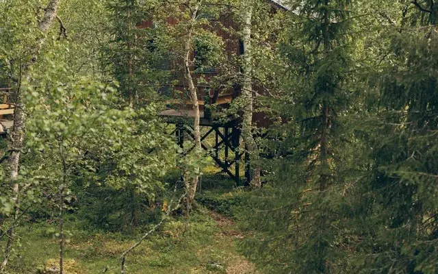 База отдыха Парк-отель Тайга