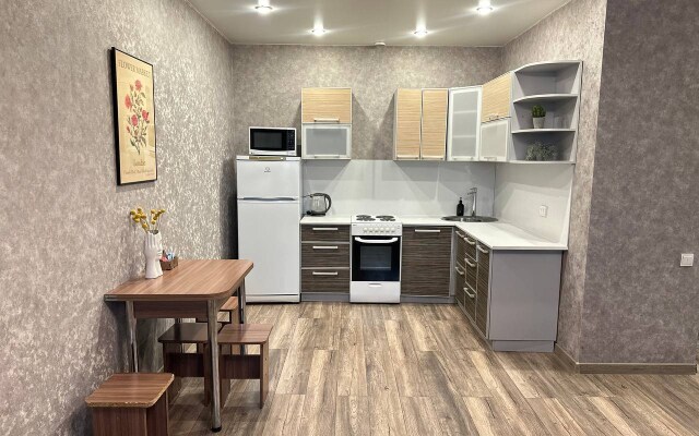 Квартира Уютная Смолина 67к2 243