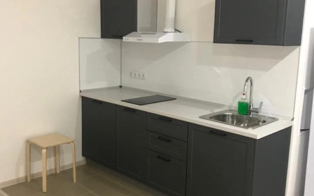 Квартира Уютная Студия у Метро Парнас