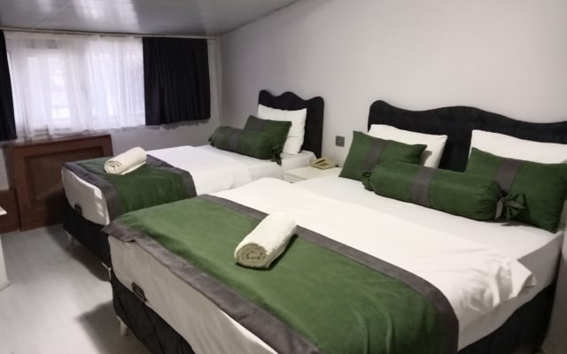 Отель Erkus Hotel İstanbul