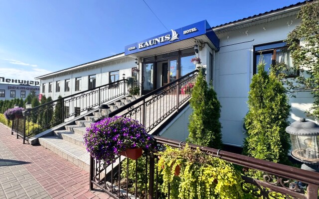 Каунис