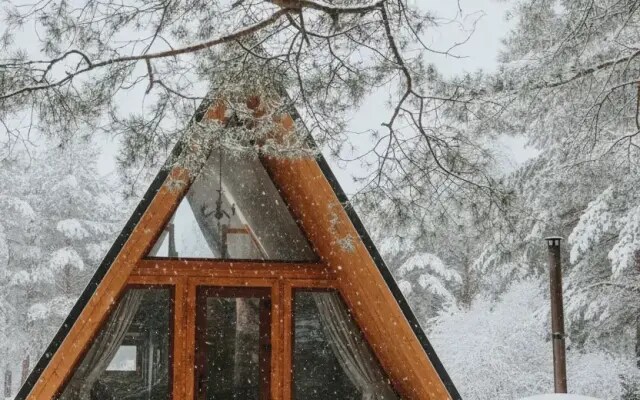 Глэмпинг Точка Немо Ярославль