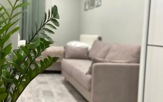 Апартаменты на Смолина, 61 (Green-room)