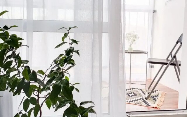 Квартира Green dreams