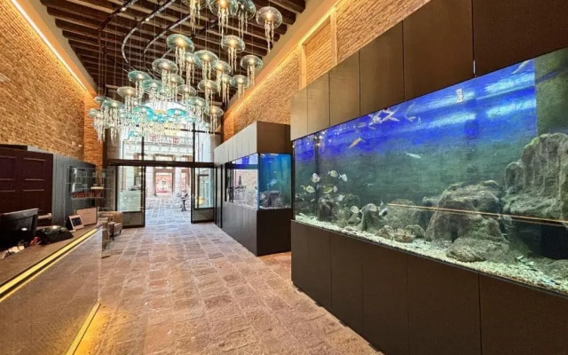 Aquarius Hotel