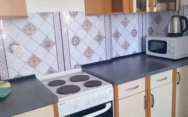 Квартира 2 комн в Академе уютная