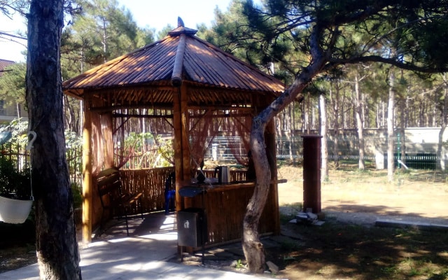 Aleksiya Guest House