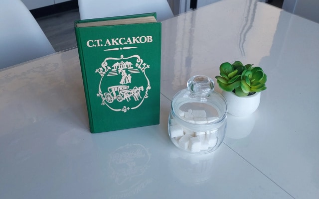 Апартаменты Аксаковские