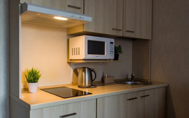 Апартаменты Студия Natalie Apartments Пулковское шоссе 14Д