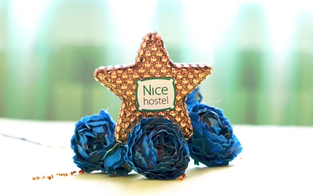 Хостел Nice