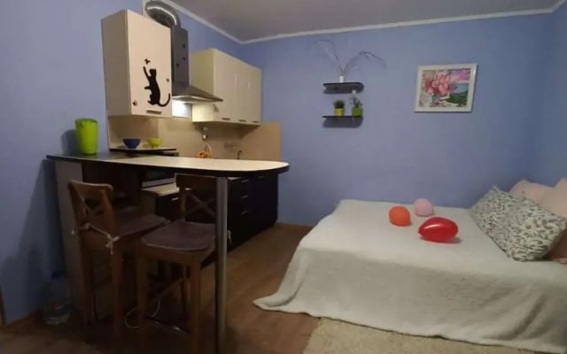 Квартира на Червишевском Тракте 45