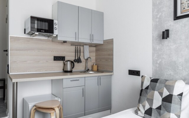 Апартаменты Стильные Loft Flats&Rooms Vnukovo