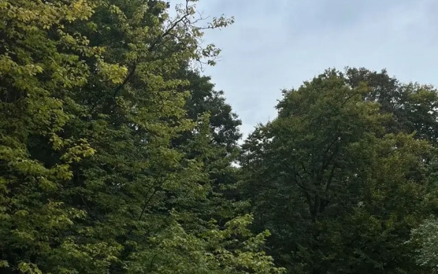 Квартира у Центрального парка