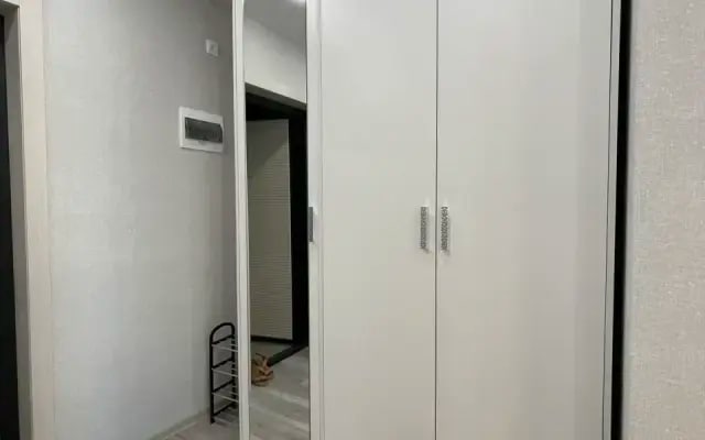 Квартира на Толстого
