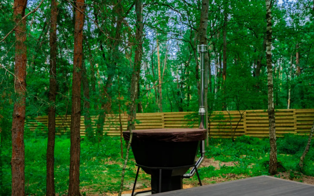 Глэмпинг Папоротник