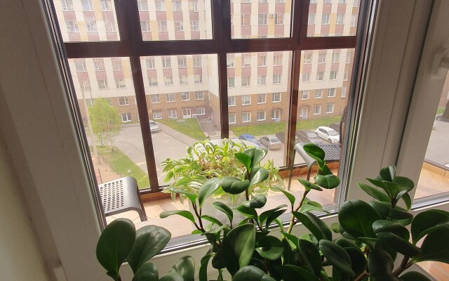 Квартира Слива