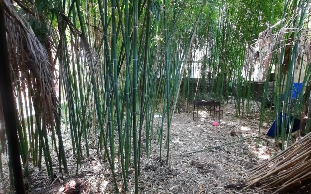 Жилое помещение Bamboo Garden