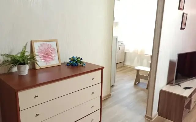 Квартира Красный проспект 59