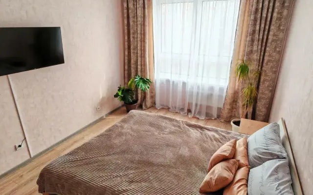 Квартира на Фестивальной 19