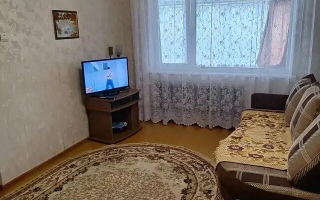 Апартаменты Просторные на Пионерской