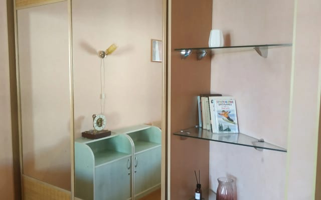 Квартира Большая однушка на пр. Ленина