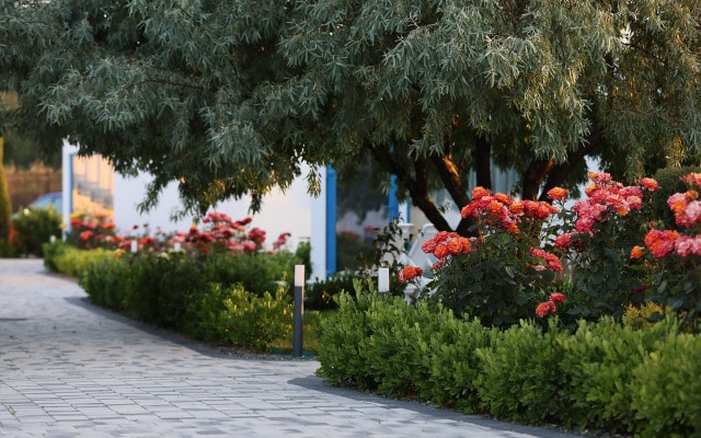 Отель Santorini