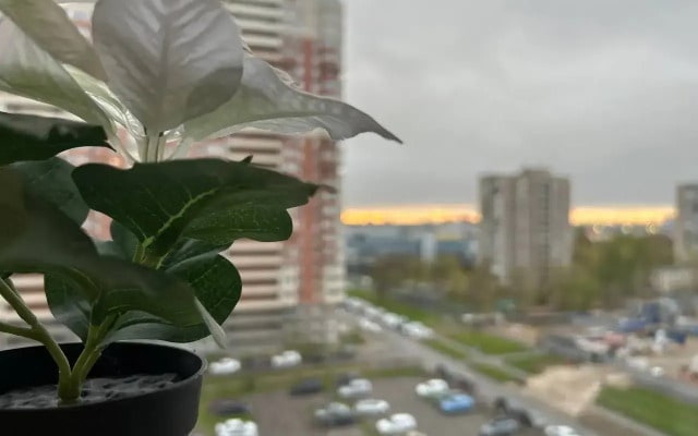 Квартира рядом с аэропортом