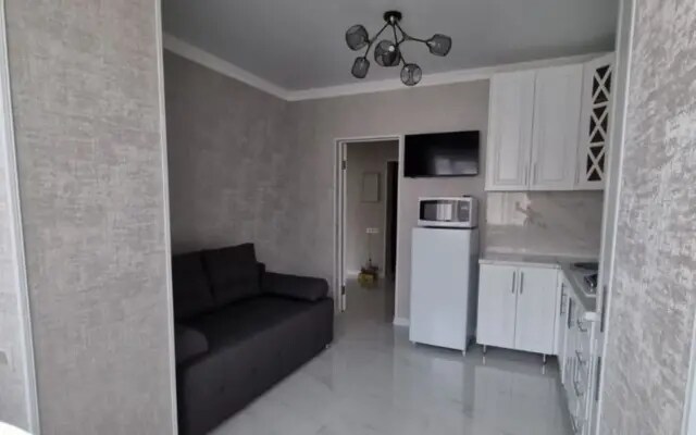 Однокомнатные Апартаменты Montana Apartament's