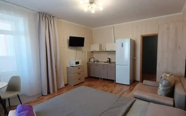 Квартира Евро студия центр Парк