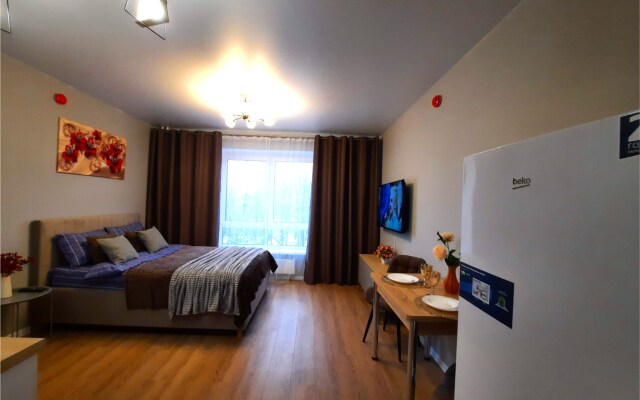 Квартира Loft Studio на Летчика Ларюшина 2