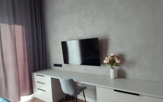 Апартаменты Vasilievsky Loft Studio