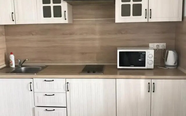 Апартаменты Студия с видом на Волгу