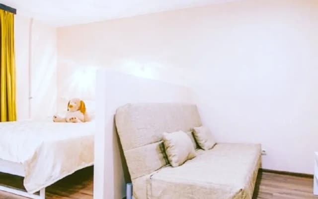 Apartamenty na Pushkinskoy 4