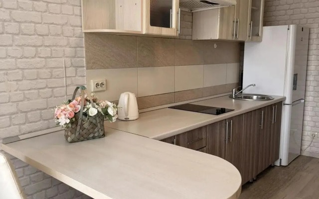 Квартира Суворова 161