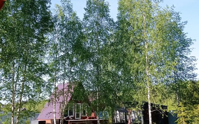 Частный дом Hide Forest
